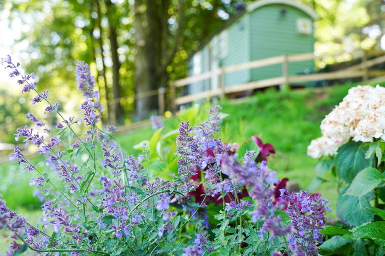 Penzion Lavender Retreat With Private Hot Tub Upper Hulme Exteriér fotografie